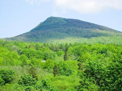 Caloroczne Domki Zacisze Hnatowego Berda W Wetlinie 韦特利纳 外观 照片