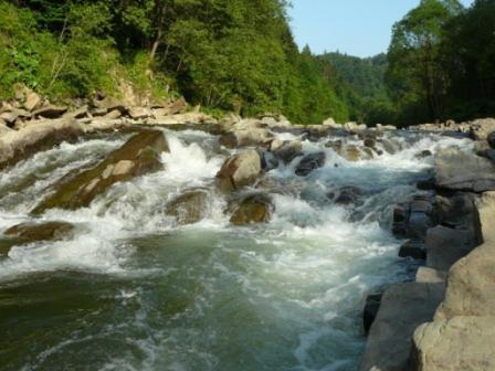 Caloroczne Domki Zacisze Hnatowego Berda W Wetlinie 韦特利纳 外观 照片